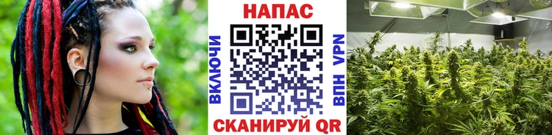 Купить наркотики цена Новоалтайск МАРИХУАНА  МЕФ  Cocaine  Гашиш 