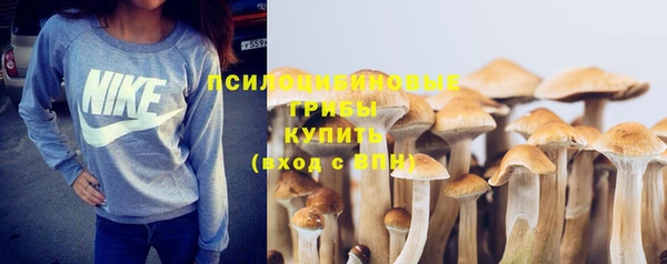 трава Абаза