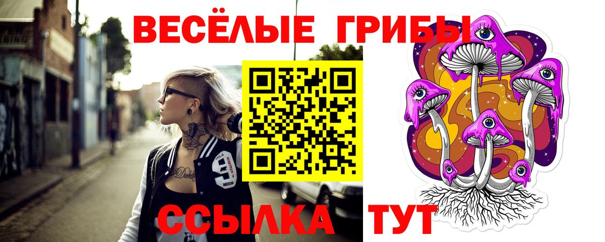 Псилоцибиновые грибы MAGIC MUSHROOMS Новоалтайск