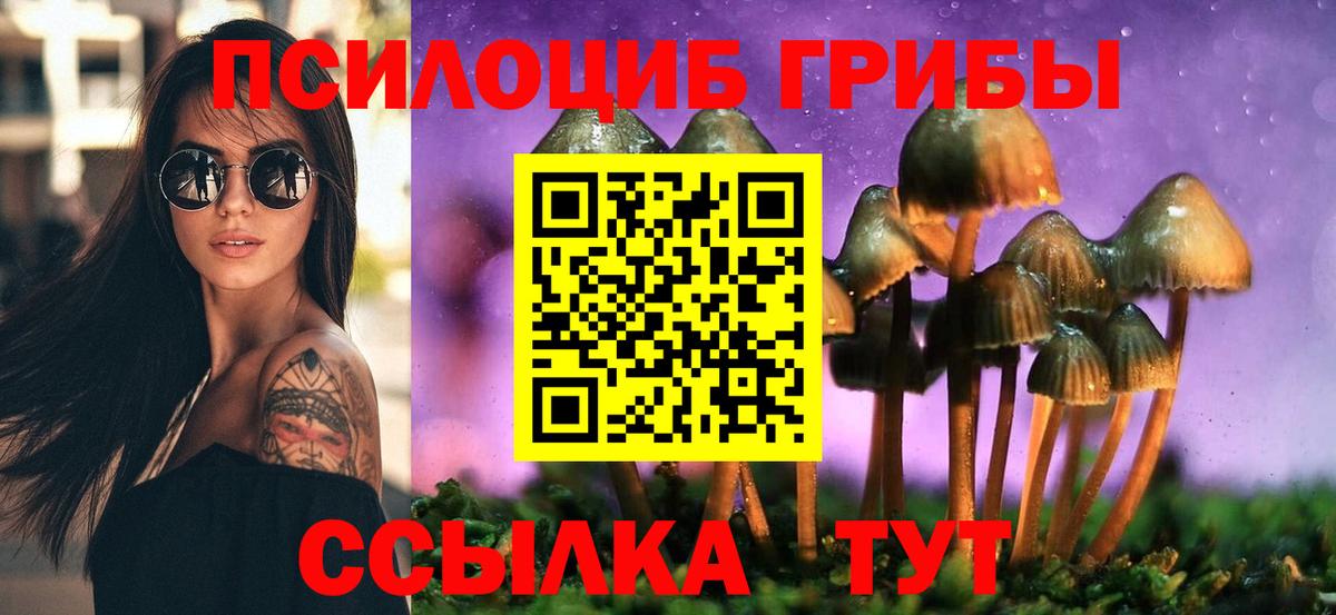 купить наркотик  Вход с VPN  Новоалтайск  Галлюциногенные грибы MAGIC MUSHROOMS  Галлюциногенные грибы GOLDEN TEACHER 